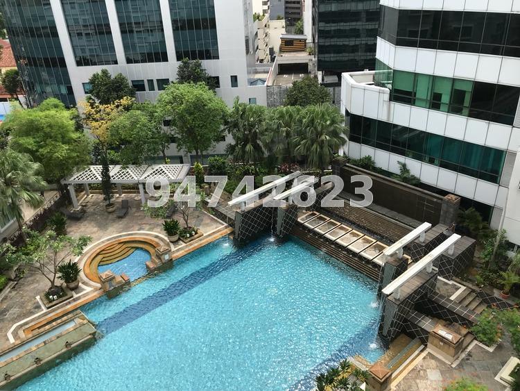 Sunshine Plaza (D7), Apartment #174676272